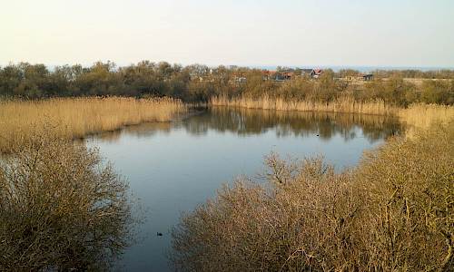 Foto: Stefan Svenaeus 2020