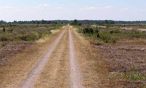 Järnvägsbanken över Stora alvaret vid Penåsa. Foto: Stefan Svenaeus