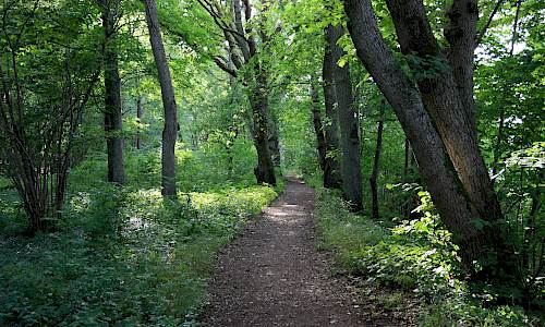 Foto: Stefan Svenaeus