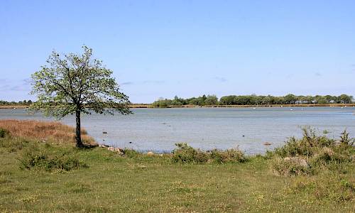 Foto: Stefan Svenaeus