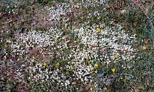 Foto: Stefan Svenaeus