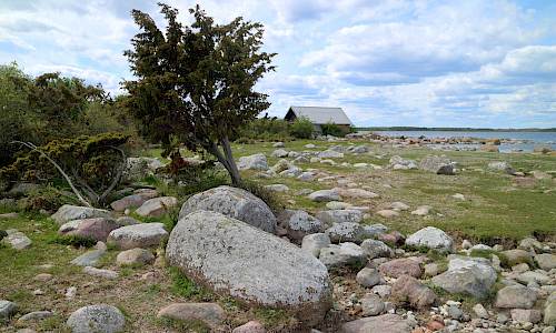 Foto: Stefan Svenaeus 2020