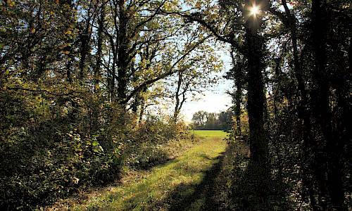 Foto: Stefan Svenaeus