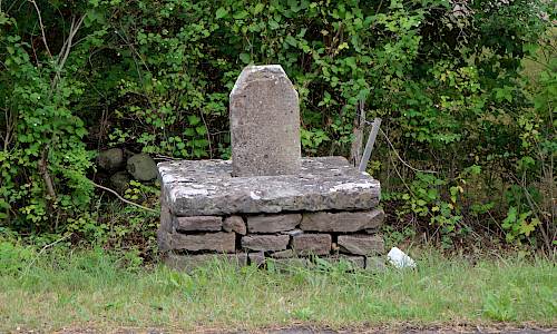 Foto: Stefan Svenaeus 2020