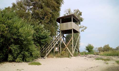 Foto: Stefan Svenaeus 2020