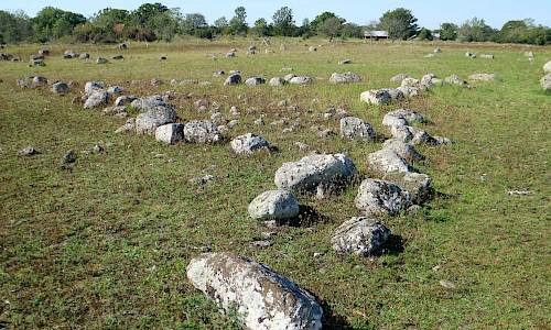 Foto: Stefan Svenaeus 2020