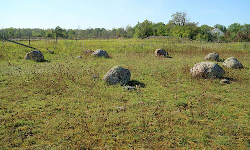 Vi alvar Foto: Stefan Svenaeus 2020