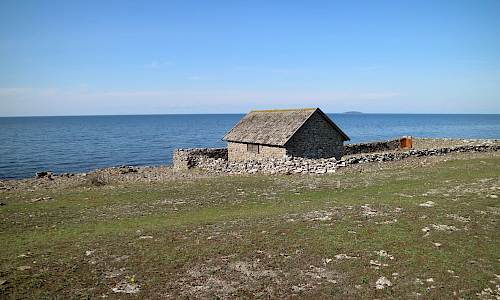 Foto: Stefan Svenaeus 2020