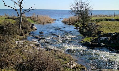 Foto: Stefan Svenaeus 2020