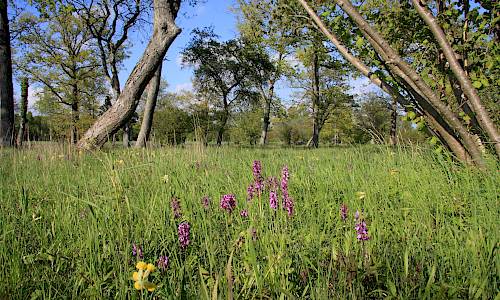 Foto: Stefan Svenaeus