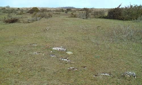 Foto: Stefan Svenaeus 2020