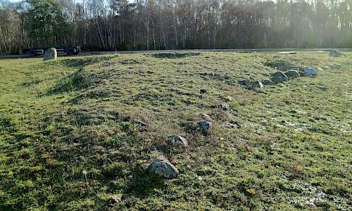 Foto: Stefan Svenaeus 2020