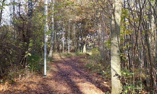Foto: Stefan Svenaeus