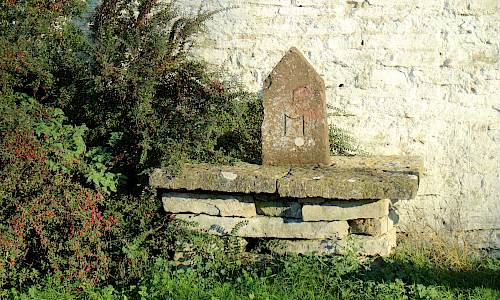 Foto: Stefan Svenaeus 2020