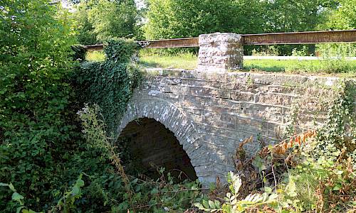 Foto: Stefan Svenaeus 2020