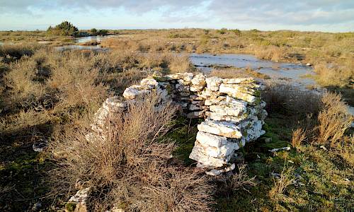Foto: Stefan Svenaeus