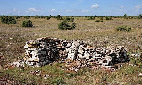 Foto: Stefan Svenaeus 2015