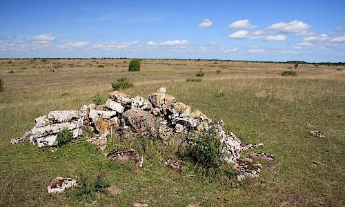 Foto: Stefan Svenaeus 2015