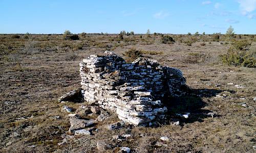 Foto: Stefan Svenaeus