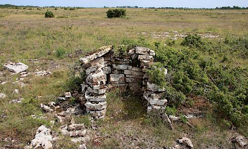 Foto: Stefan Svenaeus 2016