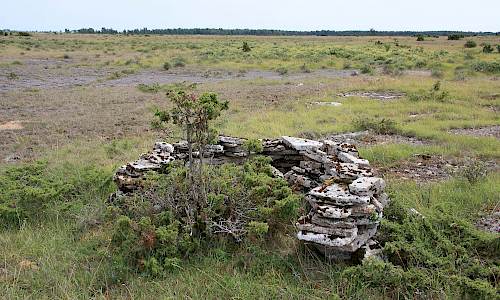 Foto: Stefan Svenaeus 2016