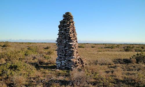 Foto: Stefan Svenaeus 2020