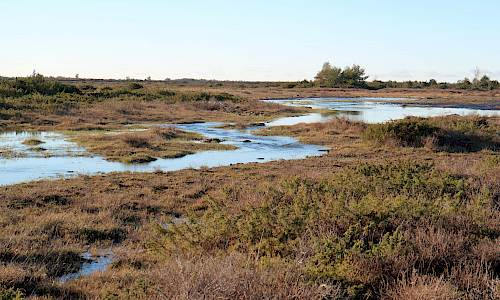 Foto: Stefan Svenaeus 2020
