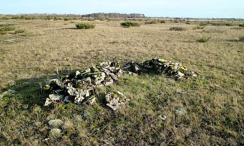 Foto: Stefan Svenaeus 2021
