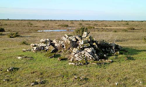 Foto: Stefan Svenaeus 2021