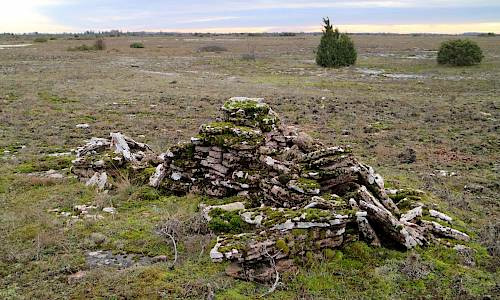 Foto: Stefan Svenaeus 2021