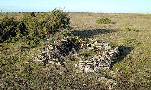 Foto: Stefan Svenaeus 2021