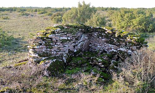 Foto: Stefan Svenaeus 2021