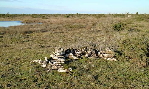 Foto: Stefanm Svenaeus 2021
