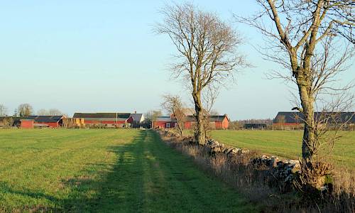 Foto: Stefan Svenaeus 2020
