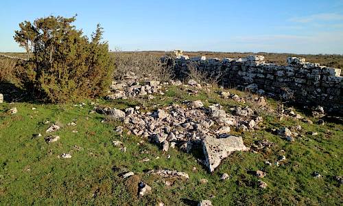 Foto: Stefan Svenaeus 2020