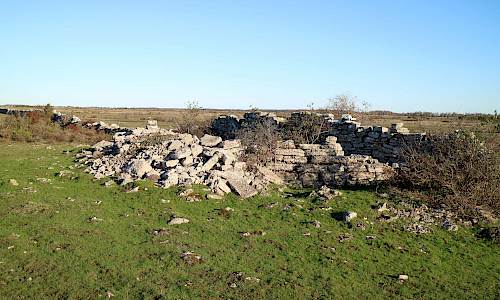 Foto: Stefan Svenaeus 2020