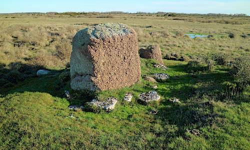 Foto: Stefan Svenaeus 2020