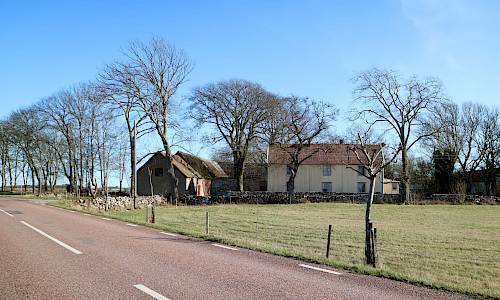 Foto: Stefan Svenaeus 2020