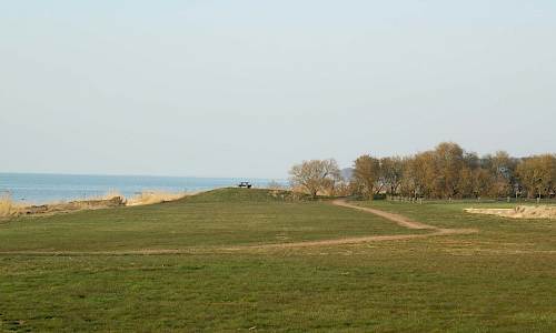 Foto: Stefan Svenaeus 2020