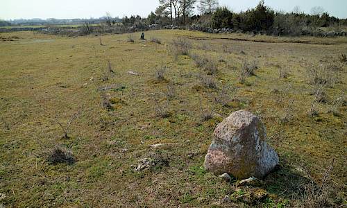 Foto: Stefan Svenaeus 2019