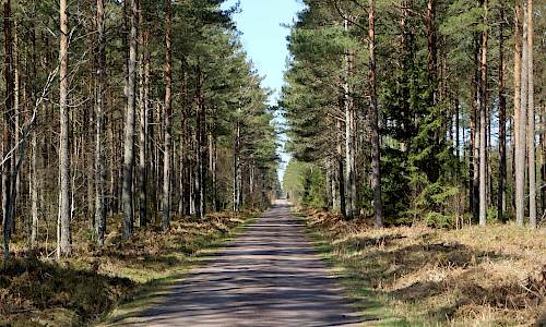 Foto: Stefan Svenaeus