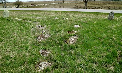 Foto: Stefan Svenaeus 2021