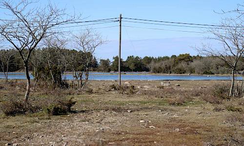 Foto: Stefan Svenaeus 2021