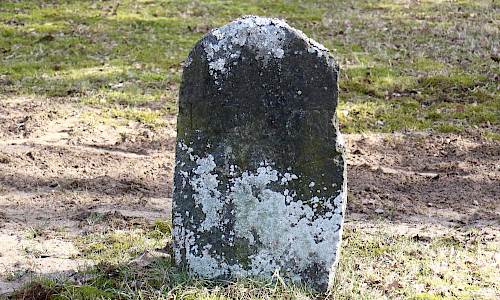 Foto: Stefan Svenaeus 2021