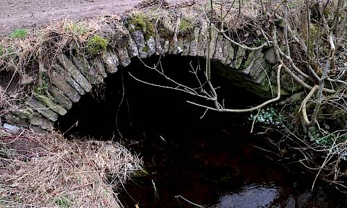 Foto: Stefan Svenaeus 2021