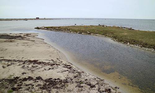 Foto: Stefan Svenaeus 2021