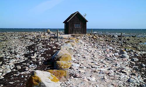 Bästa obsplatsen för sträckfågel är vid den ensamma sjöboden Foto: Stefan Svenaeus 2021