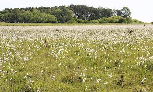 Foto: Stefan Svenaeus