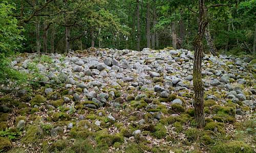 Foto: Stefan Svenaeus 2021