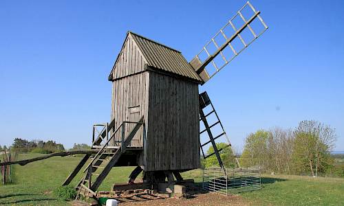 Foto: Stefan Svenaeus 2016